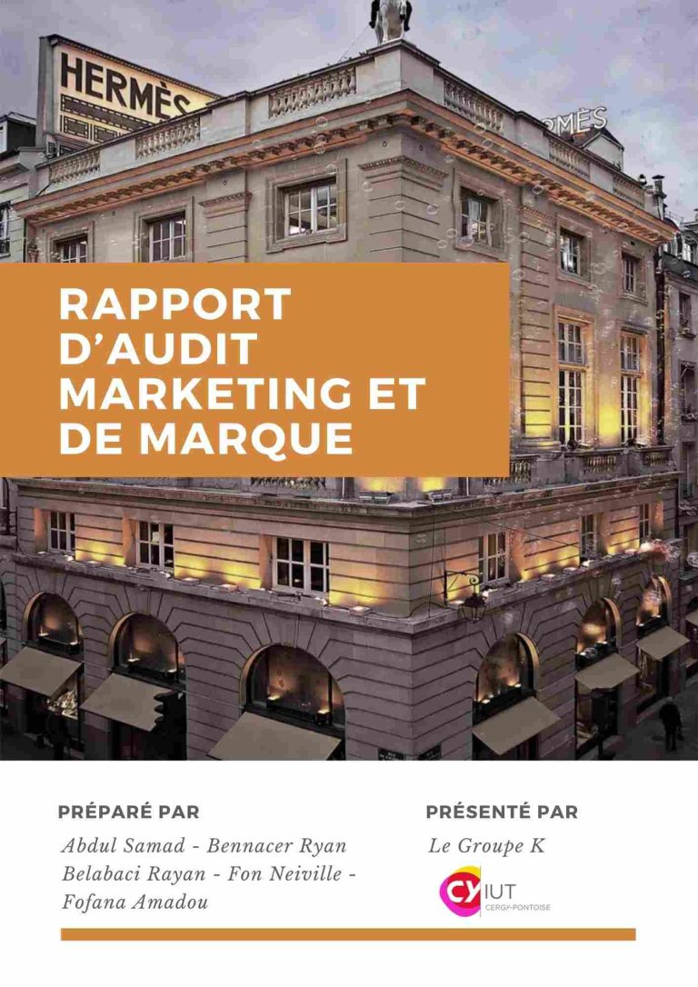 rapport-audit-marketing